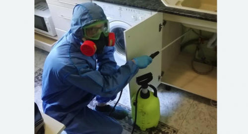 Уничтожение муравьев в квартире. Карталы