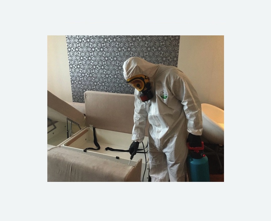 уничтожение клопов в квартире в Карталах